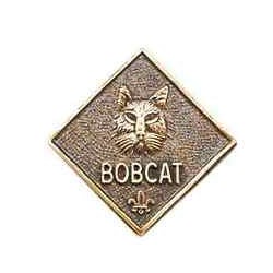 Bobcat pin