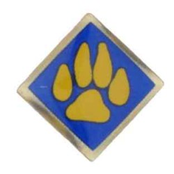 Cub Scout activity pin