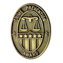 Crime Prevention Award Pin